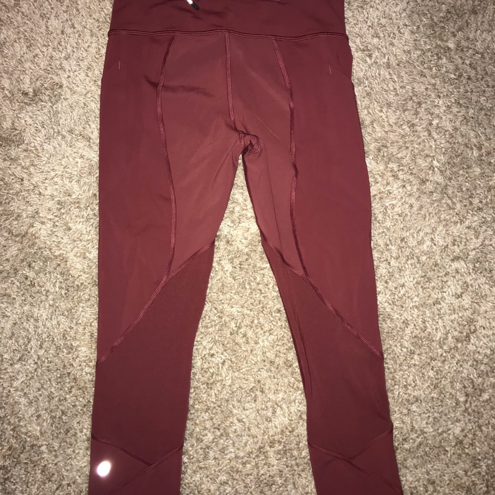 Pace rival crop 22” size four